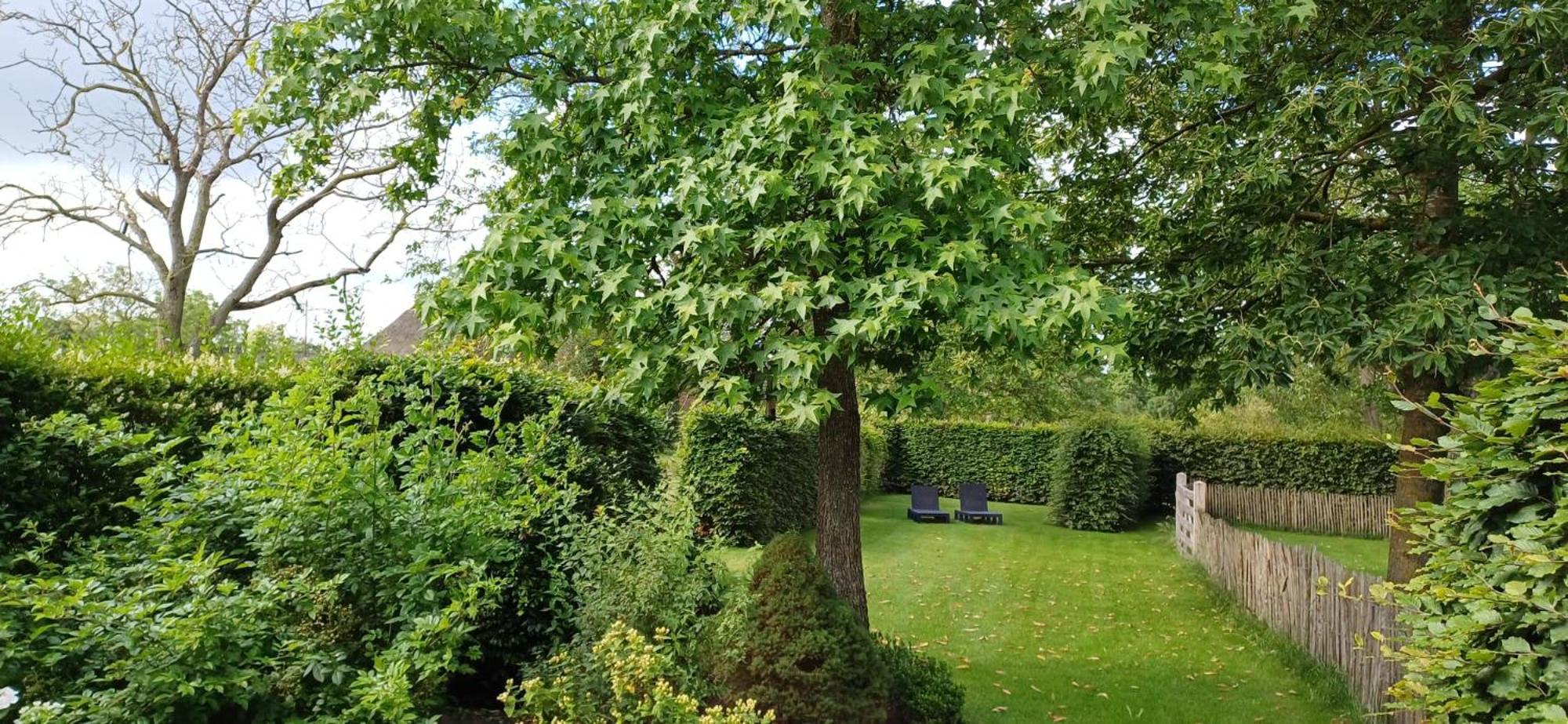 Bed & Breakfast Appenseweg Voorst Gem Voorst Exterior foto